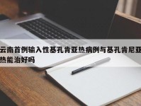 云南首例输入性基孔肯亚热病例与基孔肯尼亚热能治好吗